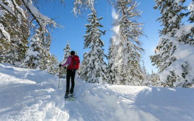 Initiation à la raquette à neige dans les Alpes